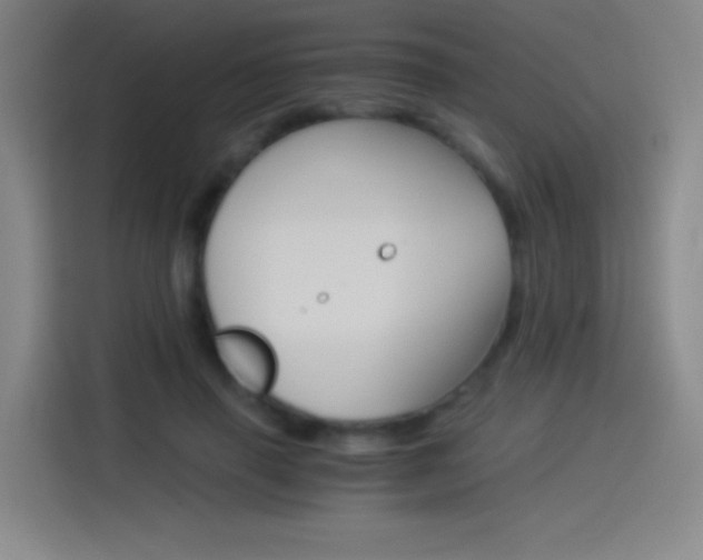 X0000114540645200910190932