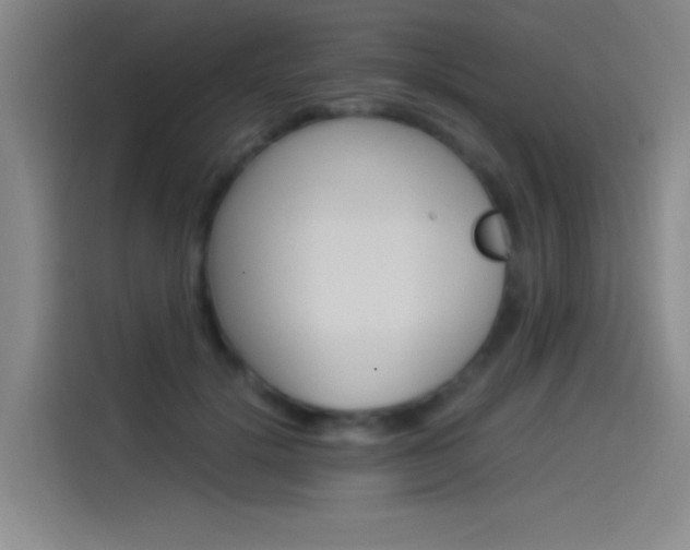 X0000114540652200910190932