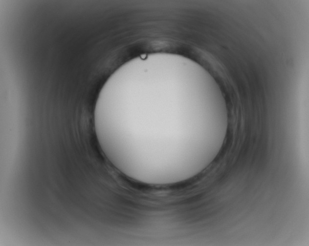 X0000114540653200910190932