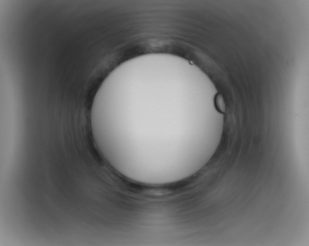 X0000114540654200910190932