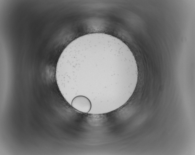 X0000114540672200910190932