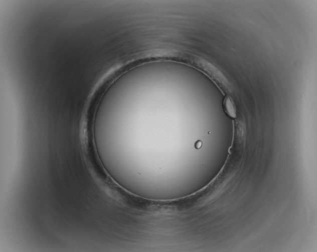 X0000114540676200910190932