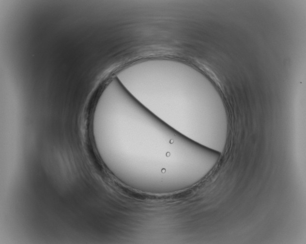 X0000114540679200910190932