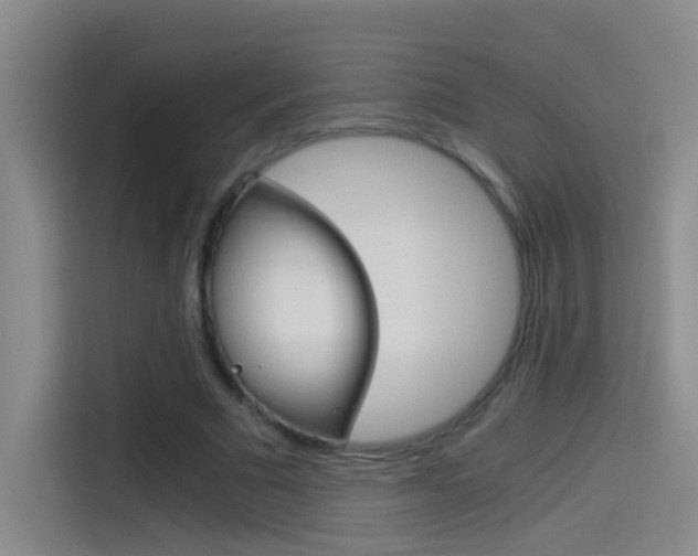 X0000114540681200910190932