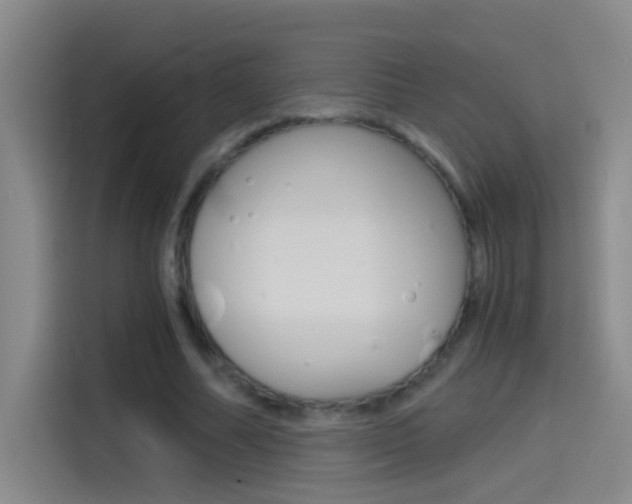 X0000114540682200910190932