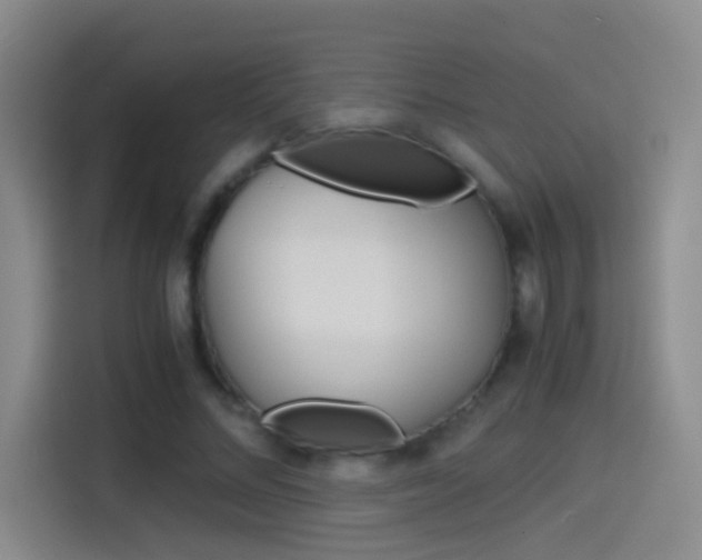 X0000114540684200910190932