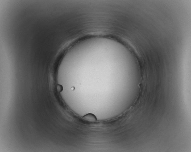 X0000114540688200910190932