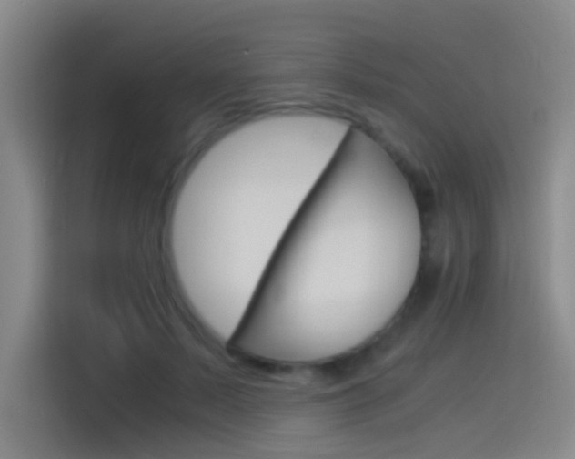 X0000114540695200910190931