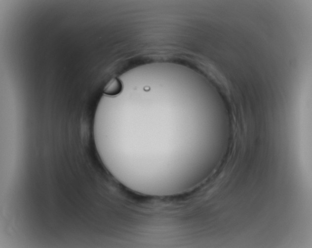 X0000114540697200910190931