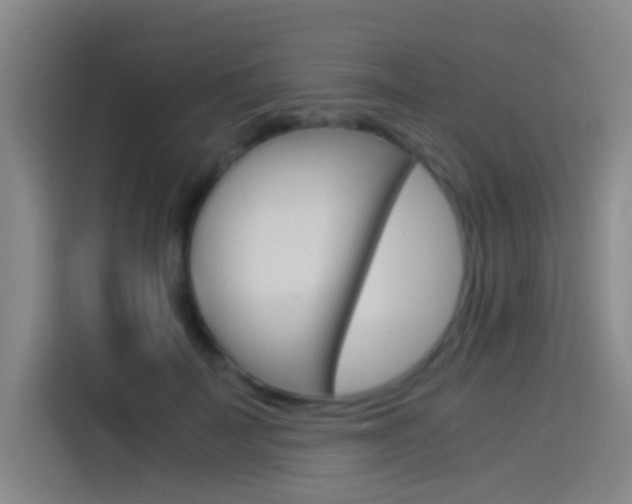 X0000114540699200910190931