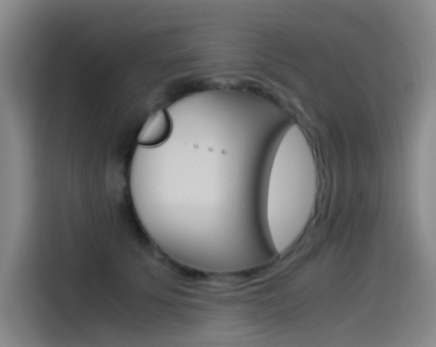X0000114540707200910190931