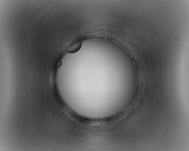 X0000114540708200910190931