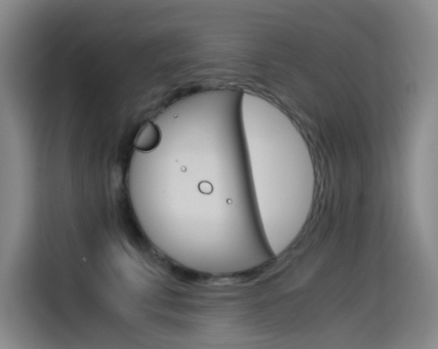 X0000114540711200910190931