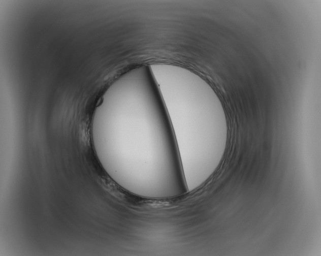 X0000114540719200910190931
