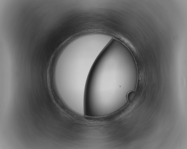 X0000114540722200910190930