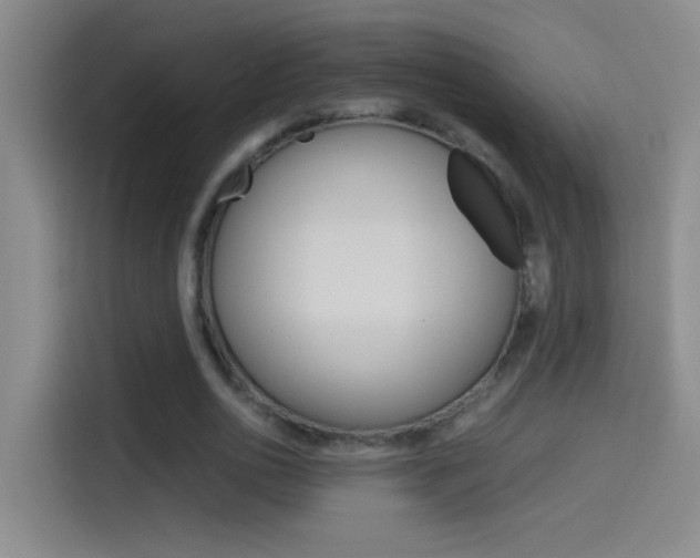 X0000114540726200910190931
