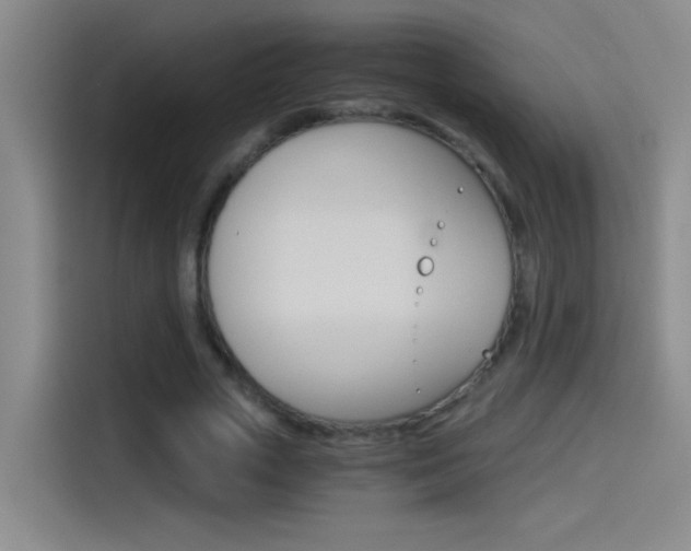 X0000114540729200910190931