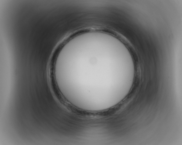 X0000114540730200910190931