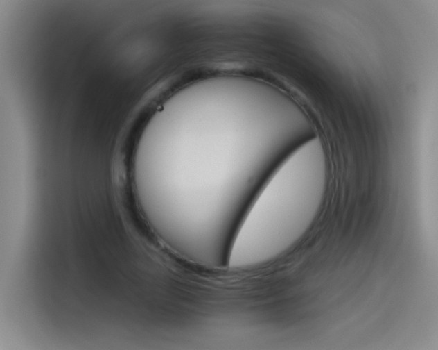 X0000114540731200910190931