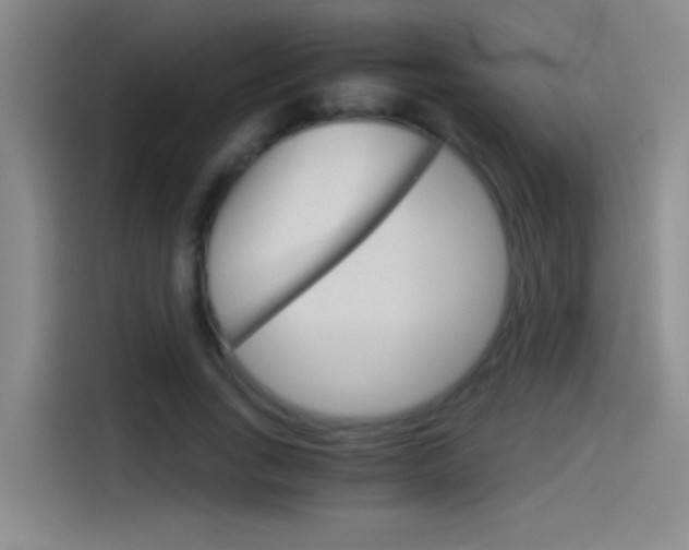 X0000114540735200910190931