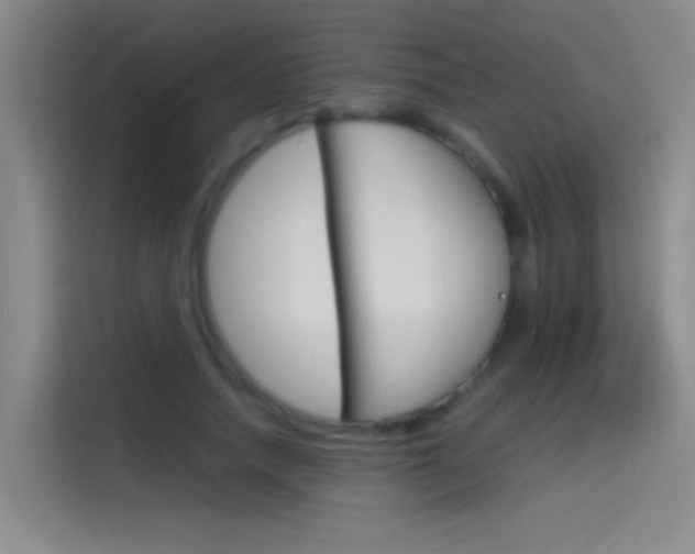 X0000114540738200910190931
