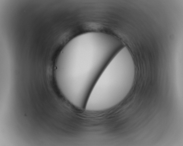 X0000114540739200910190931