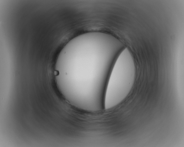 X0000114540743200910190931