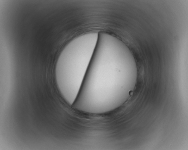 X0000114540746200910190931