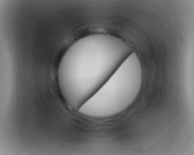 X0000114540747200910190931