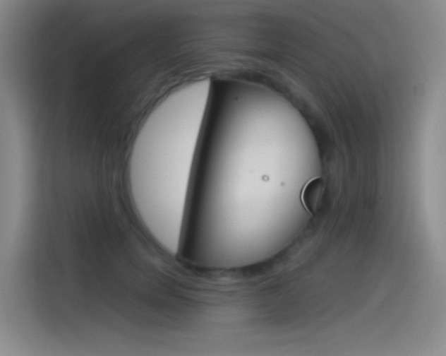 X0000114540750200910190931