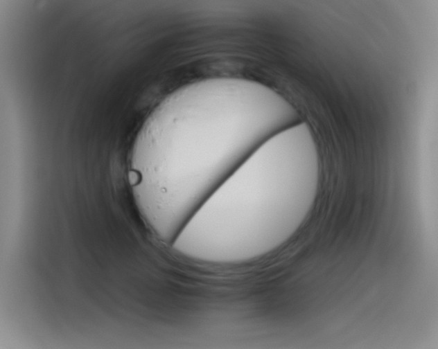 X0000114540751200910190931