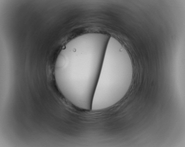 X0000114540759200910190931