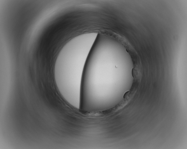 X0000114540762200910190931