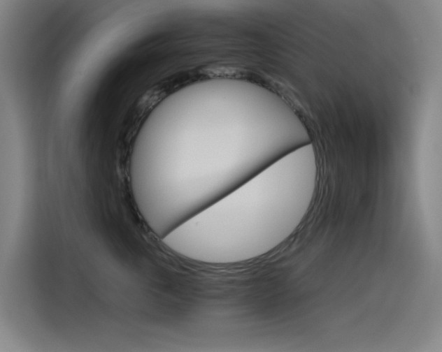 X0000114540763200910190931