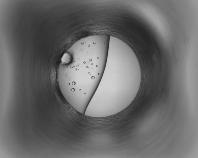 X0000114540767200910190931