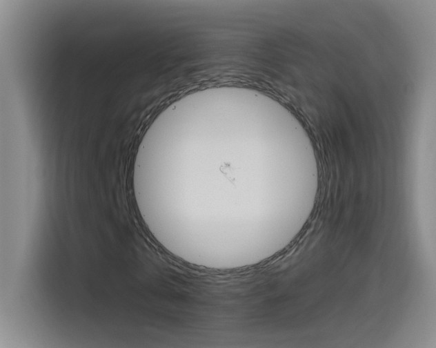 X0000114540769200910190930