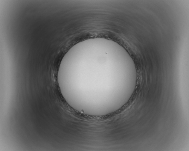 X0000114540770200910190930