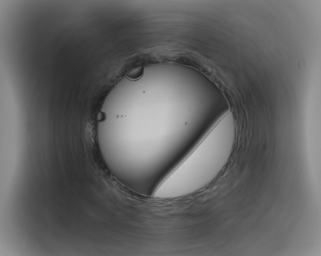 X0000114540772200910190930