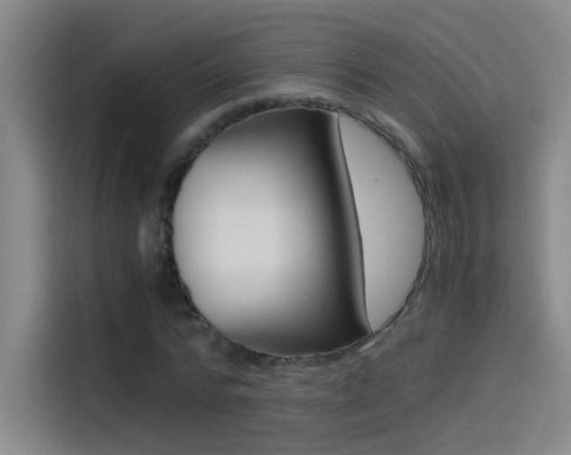 X0000114540776200910190930