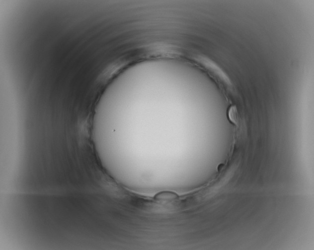 X0000114540785200910190930