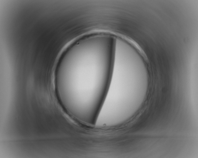 X0000114540791200910190930