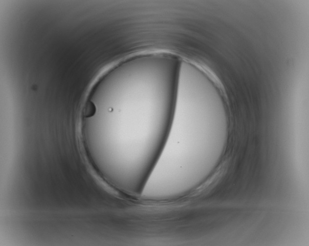 X0000114540797200910190930