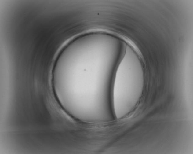 X0000114540799200910190930