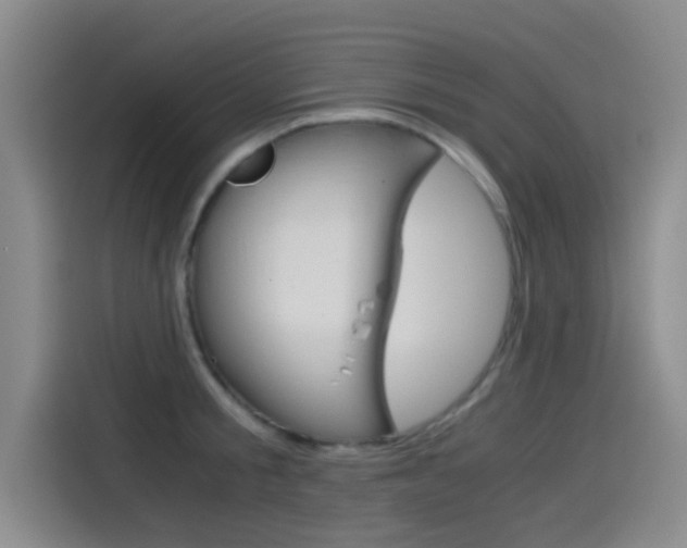 X0000114540805200910190930