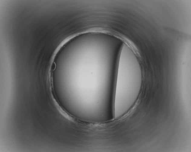 X0000114540808200910190930