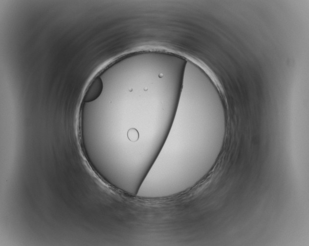 X0000114540815200910190930