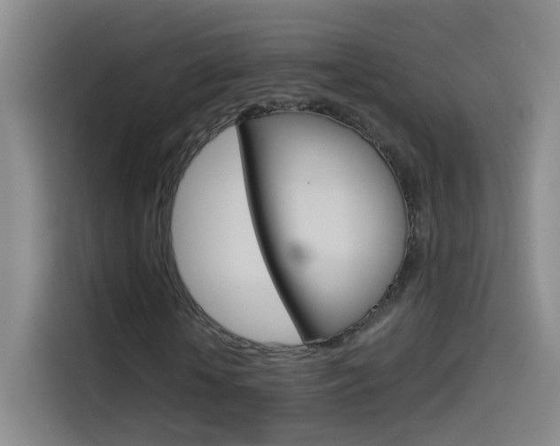 X0000114540818200910190929