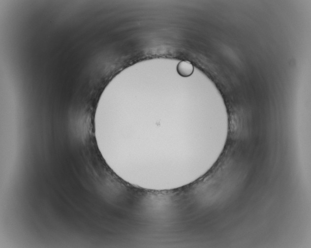 X0000114540820200910190929