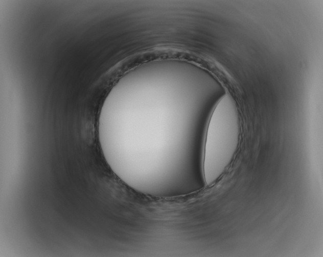 X0000114540821200910190929