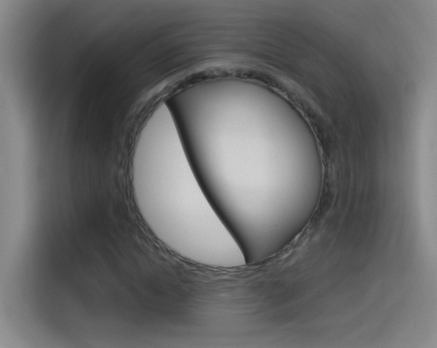 X0000114540822200910190929